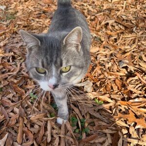 Meet your Posher, Olga